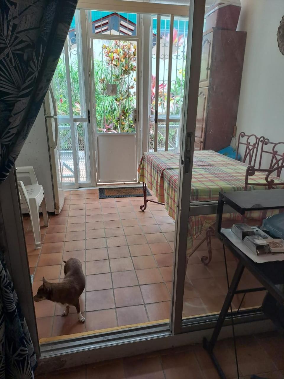 Appartement T2 Meuble Tout Confort Ле-Гозьє Екстер'єр фото